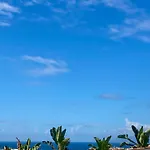 Rico Del Sol