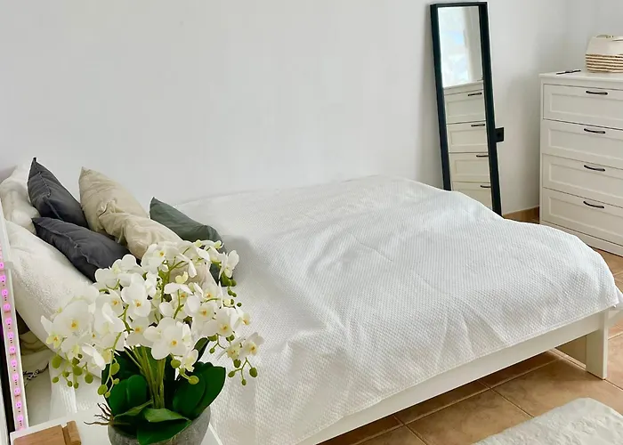 Rico Del Sol * 아데제